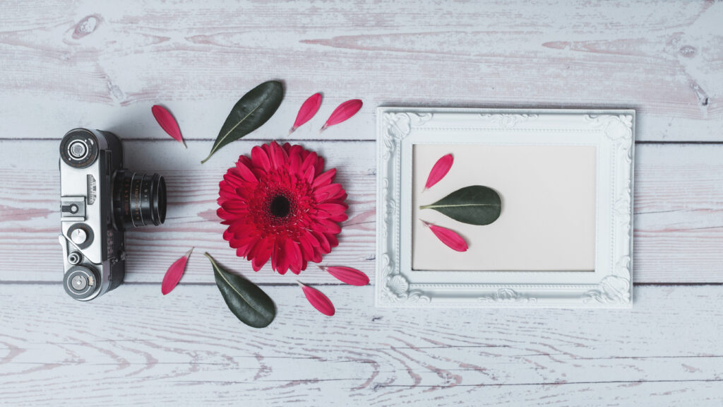 set retro camera flower leaves photo frame